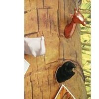 Porte manteau perroquet noir CAPVENTURE dans le site N°1 de patère et porte-manteaux de france