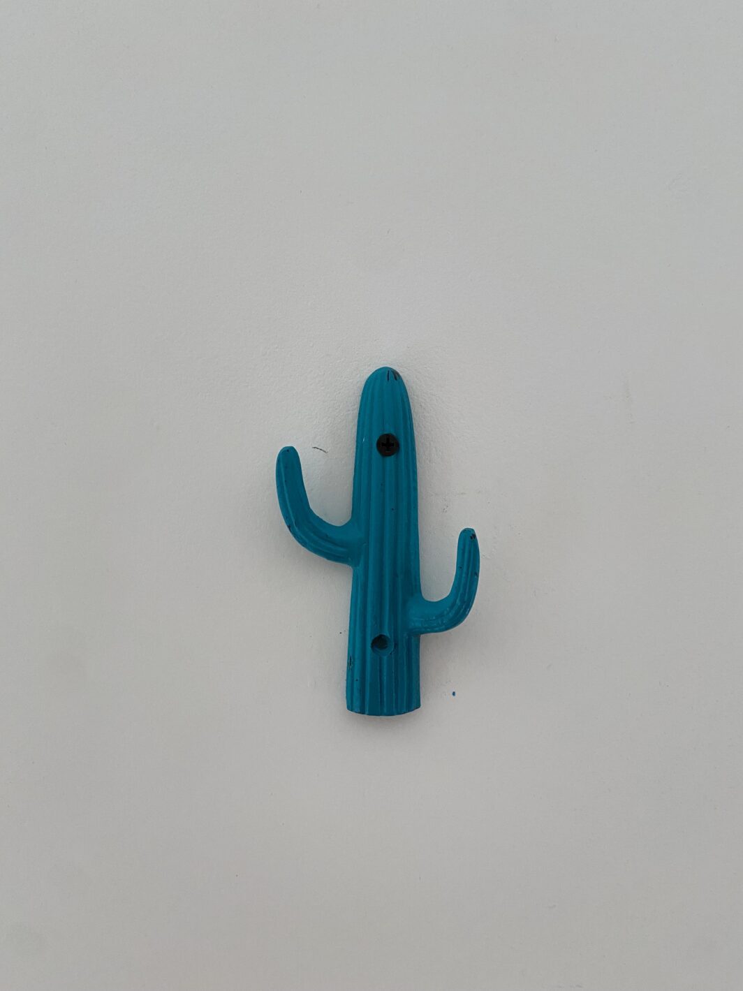 Porte-manteau tendance cactus